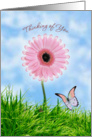 Thinking of you card with pink daisy-gerbera and butterfly card