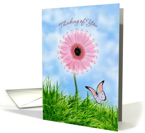 Thinking of you Friend card with pink daisy-gerbera and butterfly card