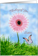 Thinking of you Sister card with pink daisy-gerbera and butterfly card