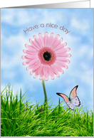 Have a nice day card with pink daisy-gerbera and butterfly card