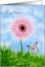 Thinking of you Friend card with pink Gerbera and butterfly card