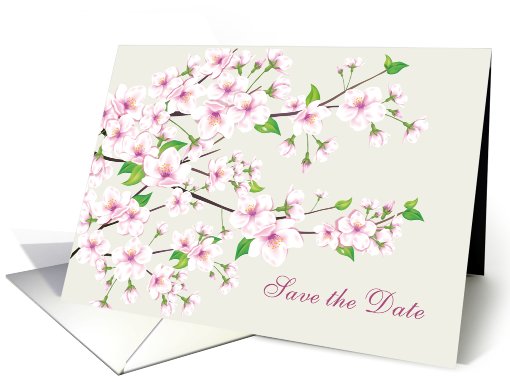 Wedding, Save the date - Cherry blossom (Sakura) card (767486)