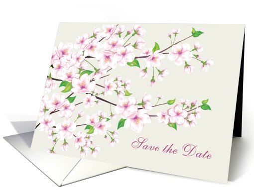 Save the date, Wedding Anniversary - Cherry blossom card (767964)