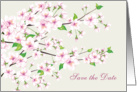 Save the date, Wedding Anniversary - Cherry blossom card