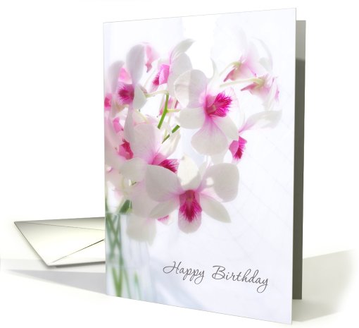 Birthday Flowers - white Orchids card (806881)
