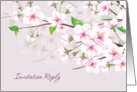 Invitation Reply, RSVP - Cherry Blossom (Sakura) card