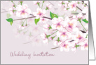 Wedding Invitation - Cherry Blossom (Sakura) card