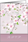 Invitation Reply, RSVP - Cherry Blossom (Sakura) card