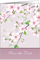 Wedding, Save the Date - Cherry Blossom (Sakura) card