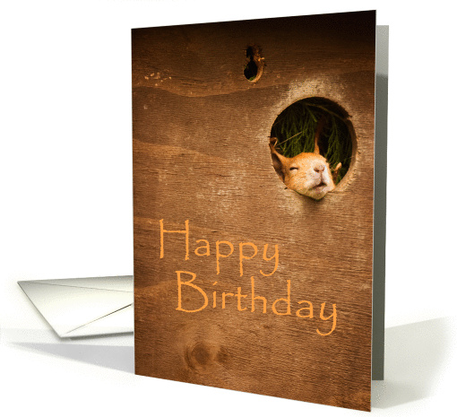 Sleepy Squirrel card (357423)