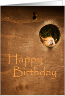 Sleepy Squirrel card