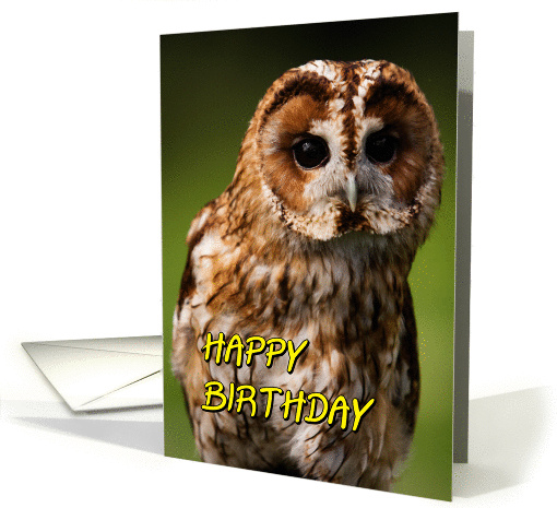 Tawny Owl card (358351)