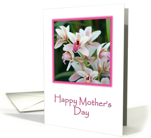 White Orchid card (367864)
