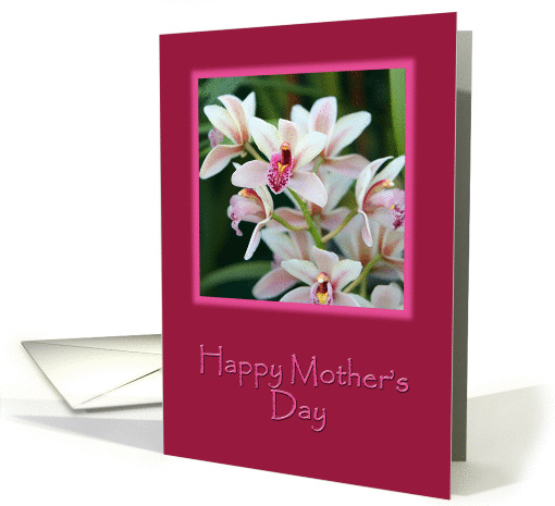 White Orchid card (367866)