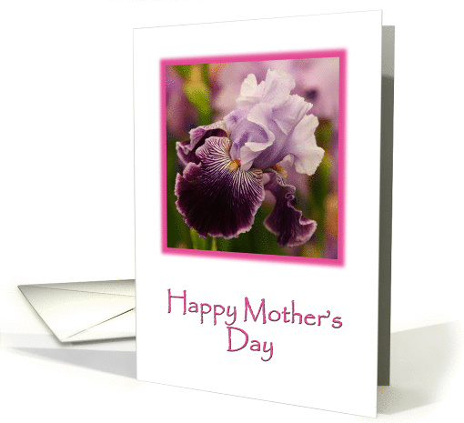Iris card (367867)