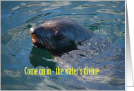 Come on in - the water’s divine card