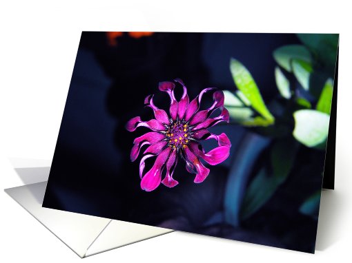Happy Birthday card (746144)