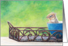 Chipmunk in Blue Bowl card