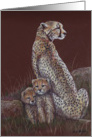 Cheetah Family Birthday Card