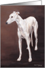 Greyhound Birthday Card