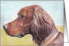 Irish Setter Birthday Card