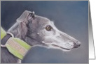 Whippet Birthday Card