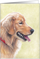 Golden Retriever Birthday Card