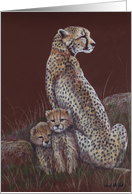 Cheetah Family Birthday Card