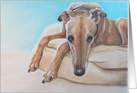 Greyhound Birthday Card