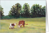 Peaceful Pasture Birthday Card