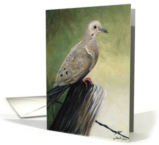 Mourning Dove card (360853)