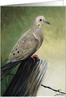 Mourning Dove card