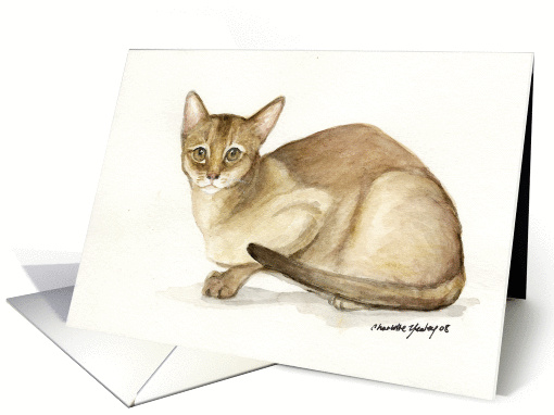 Absyssinian Cat card (362739)