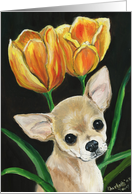 Chihuahua & tulips card