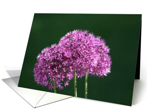 Thinking of You card (432084)