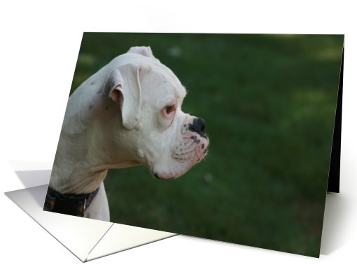 Happy Father's Day Boxer card (434462)