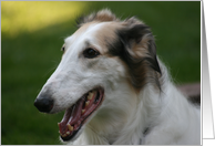 Happy Birthday Day Borzoi card