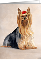 Yorkshire Terrier Birthday card