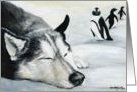 Siberian Huskey Birthday card