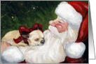 Christmas Chihuahua Santa card