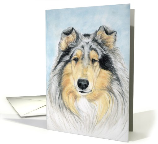 Collie Birthday card (470766)
