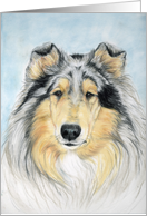 Collie Birthday card