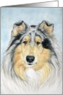 Collie Birthday card