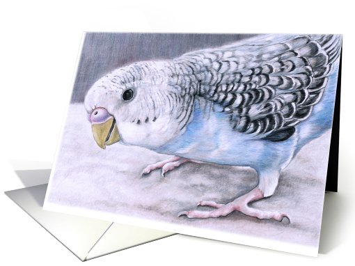 Birthday Budgie card (471571)