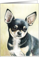 Friendship Chihuahua card