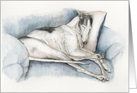 Greyhound Sympathy card