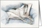 Greyhound Sympathy card