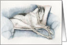 Friendship Greyhound card