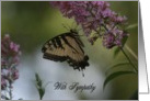Sympathy Butterfly card