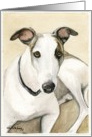 Birthday Greyhound card